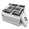 Counter Top Electric Fryer(2-Tank&2Basket)BDF-904