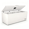 Chest Freezer 600L（BCF-600L）