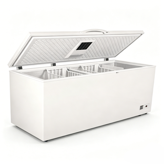  Chest Freezer 600L（BCF-600L）